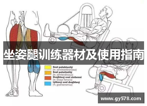 坐姿腿训练器材及使用指南